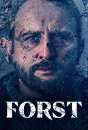 Detective Forst Season 1