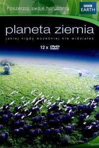 Planet Earth - Posters