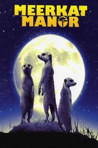 Meerkat Manor - Poster