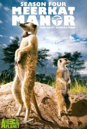Meerkat Manor