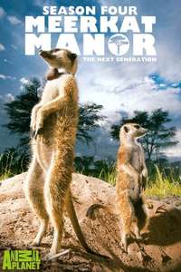 Meerkat Manor - Poster