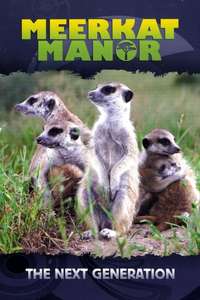 Meerkat Manor - Poster