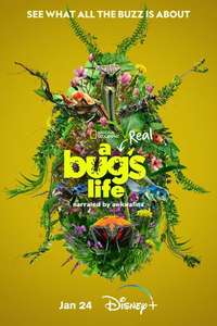 A Real Bug's Life - Posters