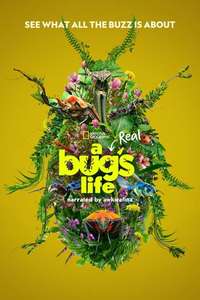 A Real Bug's Life - Posters