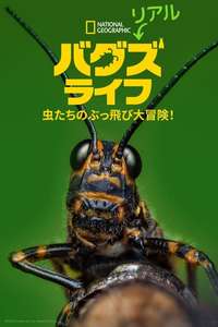 A Real Bug's Life - Posters