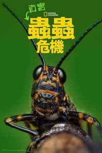 A Real Bug's Life - Posters