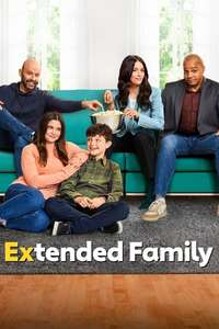 Extended Family - Posters
