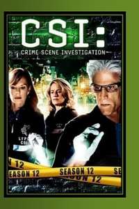 CSI: Crime Scene Investigation - Posters