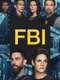 FBI : Season 6