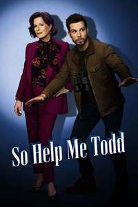 So Help Me Todd - Posters