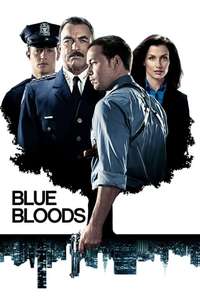 Blue Bloods - Posters