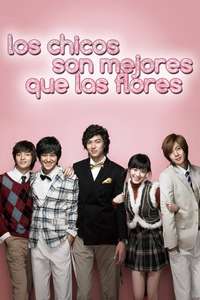 Boys Over Flowers - Posters