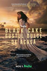 Black Cake - Posters