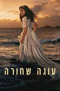 Black Cake - Posters