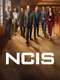 NCIS : Season 21