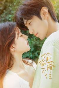 Hidden Love - Posters