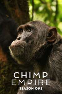 Chimp Empire - Posters
