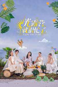 Light The Wild - Posters