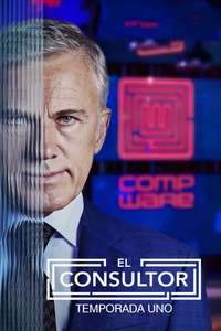 The Consultant - Posters