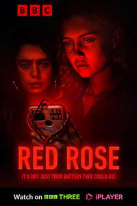 Red Rose - Posters
