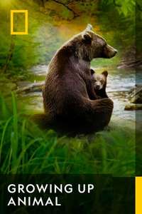 Growing Up Animal - Posters
