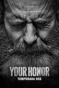 Your Honor - Posters
