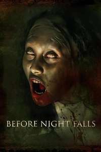 Before Night Falls - Posters