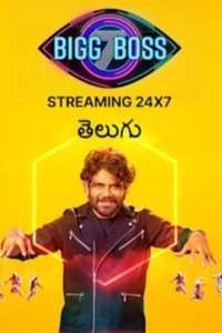 Bigg Boss - Posters