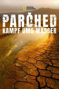 Parched - Posters