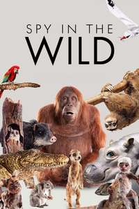 Spy in the Wild - Posters