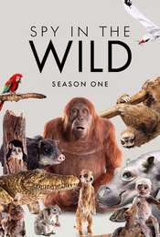 Spy in the Wild Season 1