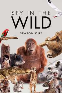 Spy in the Wild - Posters