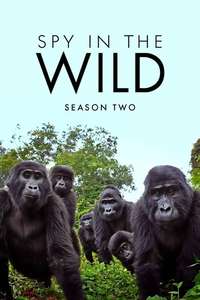 Spy in the Wild - Posters