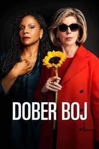 The Good Fight - Posters