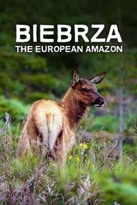 Biebrza: The European Amazon - Posters