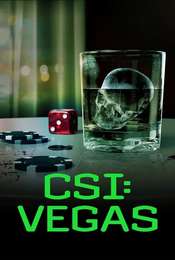 CSI: Vegas Season 3