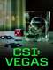 CSI: Vegas : Season 3