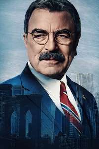 Blue Bloods - Posters
