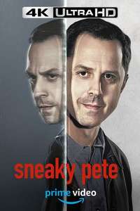 Sneaky Pete - Posters