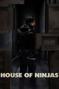 House of Ninjas - Posters