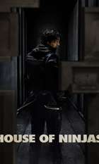House of Ninjas