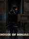 House of Ninjas