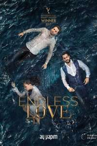 Endless Love - Posters
