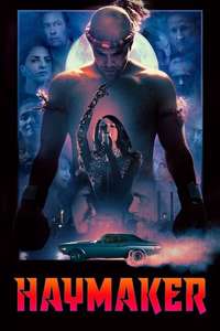 Haymaker - Poster