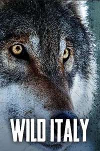 Wild Italy - Poster