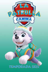 Paw Patrol - Posters