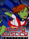 Young Justice : The Outsiders
