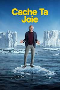 Curb Your Enthusiasm - Posters