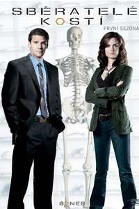 Bones - Posters