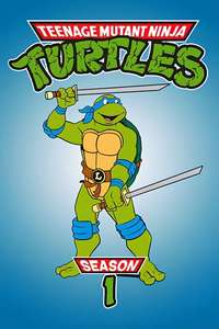 Teenage Mutant Ninja Turtles - Posters